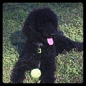 Meet your Posher, Melanie